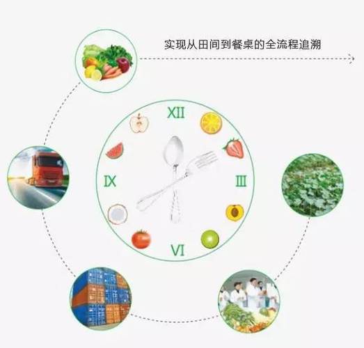 可溯源农产品电子商务平台宁夏农产品质量安全溯源哪个公司在做
